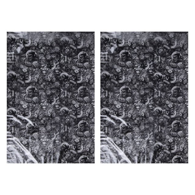 2X Film Hydrographique - Impression par Transfert d'Eau - Trempage Hydro - Os Roulants - 1 Mètre