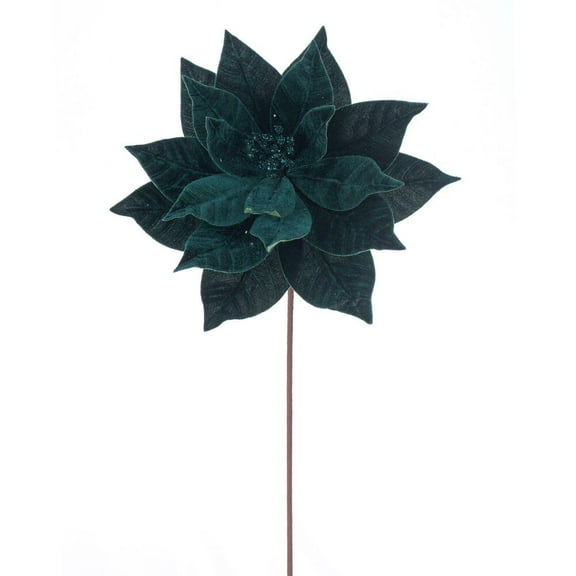 21.5" Mdnt Grn Poinsettia 12" Flwr 6/Bag