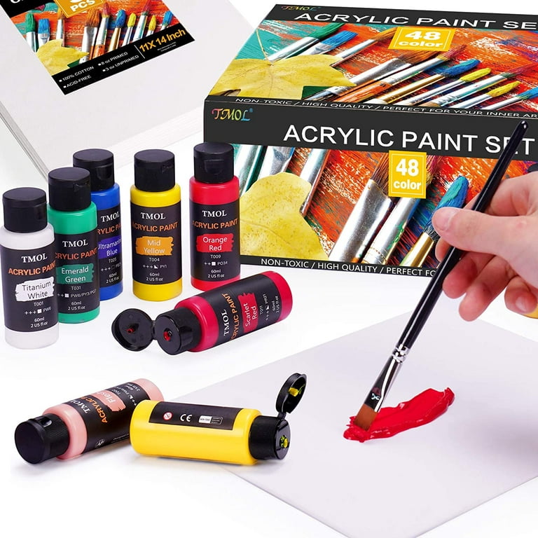 Castle Art Supplies 48 x 22ml Acrylic Paint Set | All-inclusive Set for  Beginners, Adult Artists | Quality Intense Colors | Smooth to Use on Range  of