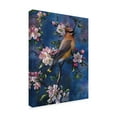 thumbnail image 2 of Trademark Fine Art 'Cedar Waxwing' Canvas Art by Jeff Tift, 2 of 3