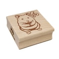 thumbnail image 1 of Shocked Syrian Teddy Bear Hamster Square Rubber Stamp Stamping Scrapbooking Crafting - Medium 1.75in, 1 of 7