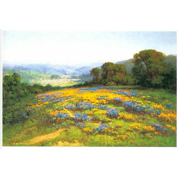 Radiant Valley-Jackson - CANVAS OR FINE PRINT WALL ART