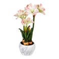thumbnail image 1 of Vickerman 25" Plastic Artificial Amaryllis Floral Arrangement in Pink, 1 of 2
