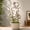 B, variant on Metal Trellis for Climbing Plants Outdoor, Lady Silhouette Decorative Indoor Plant Support for Potted Vines Ivy Pothos, Black