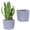Grey, variant on Tall Planters for Outdoor Plants,Large Planters for Outdoor Plants,Rattan Decor Plant Pots for Indoor Outdoor Front Porch Patio Backyard(Brown)