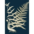 thumbnail image 2 of Piddix 18x24 Black Ornate Wood Framed with Double Matting Museum Art Print Titled - Ferns II, 2 of 4