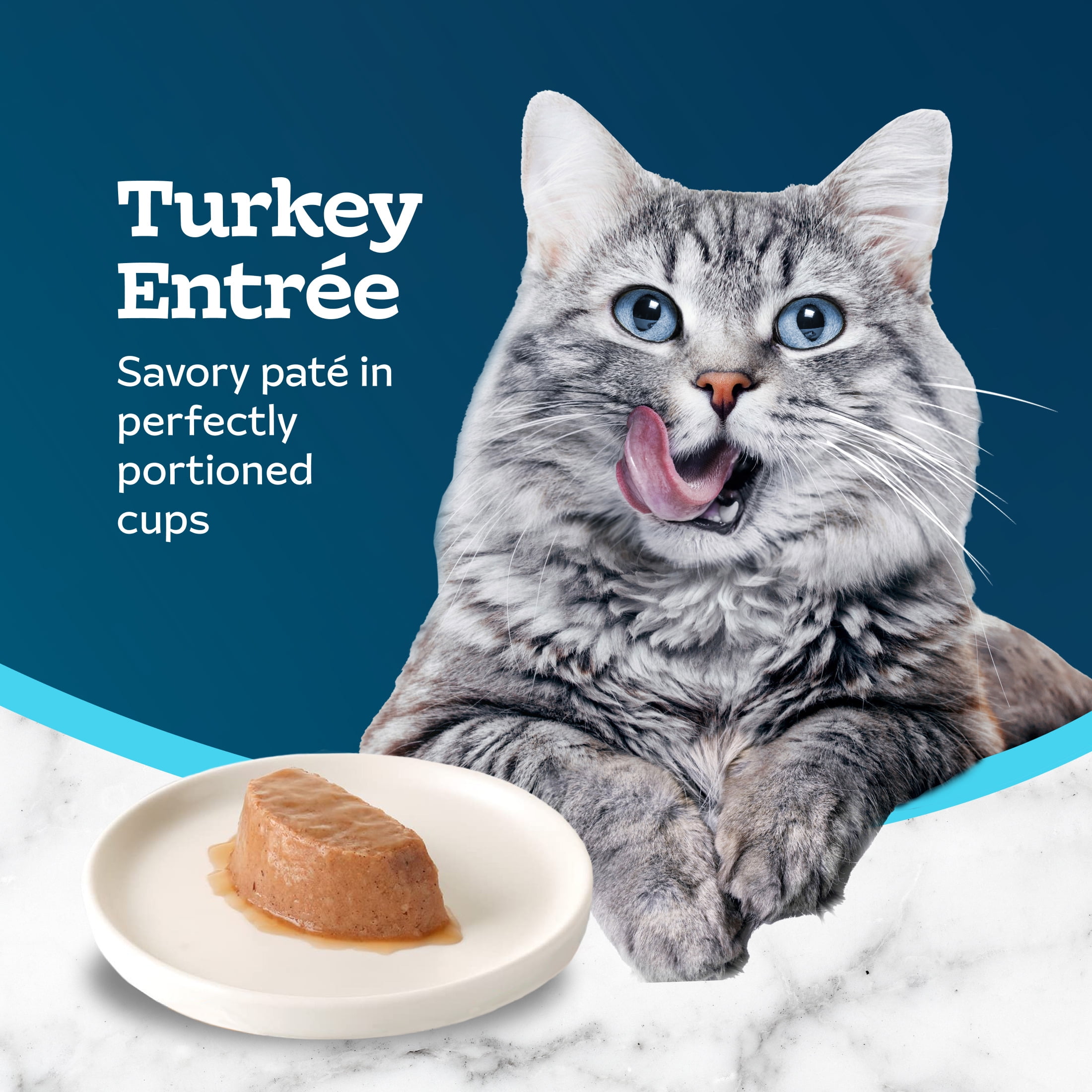 (24 pack) Blue Buffalo Tastefuls Spoonless Singles Turkey Pate Wet Cat Food for Adult Cats, 2.6-oz Twin-Pack Tray