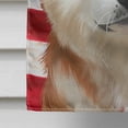 thumbnail image 4 of Carolines Treasures CK6387CHF Akita American Canvas House Size outdoor-flags, Multicolor, 4 of 4