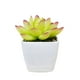 thumbnail image 5 of Advancent Simulación de suculentas, Mini maceta para bonsái, flores falsas, maceta decorativa para el hogar, , jardín, boda, sala de estar, tipo3 2Conjunto, 5 of 6