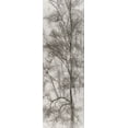 thumbnail image 2 of Stelfox, Norm 7x14 White Modern Wood Framed Museum Art Print Titled - Tree Triptych I, 2 of 4