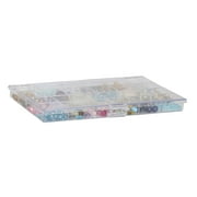 Everything Mary 21 Compartment Plastic Bead Storage Box, Clear, (Single)