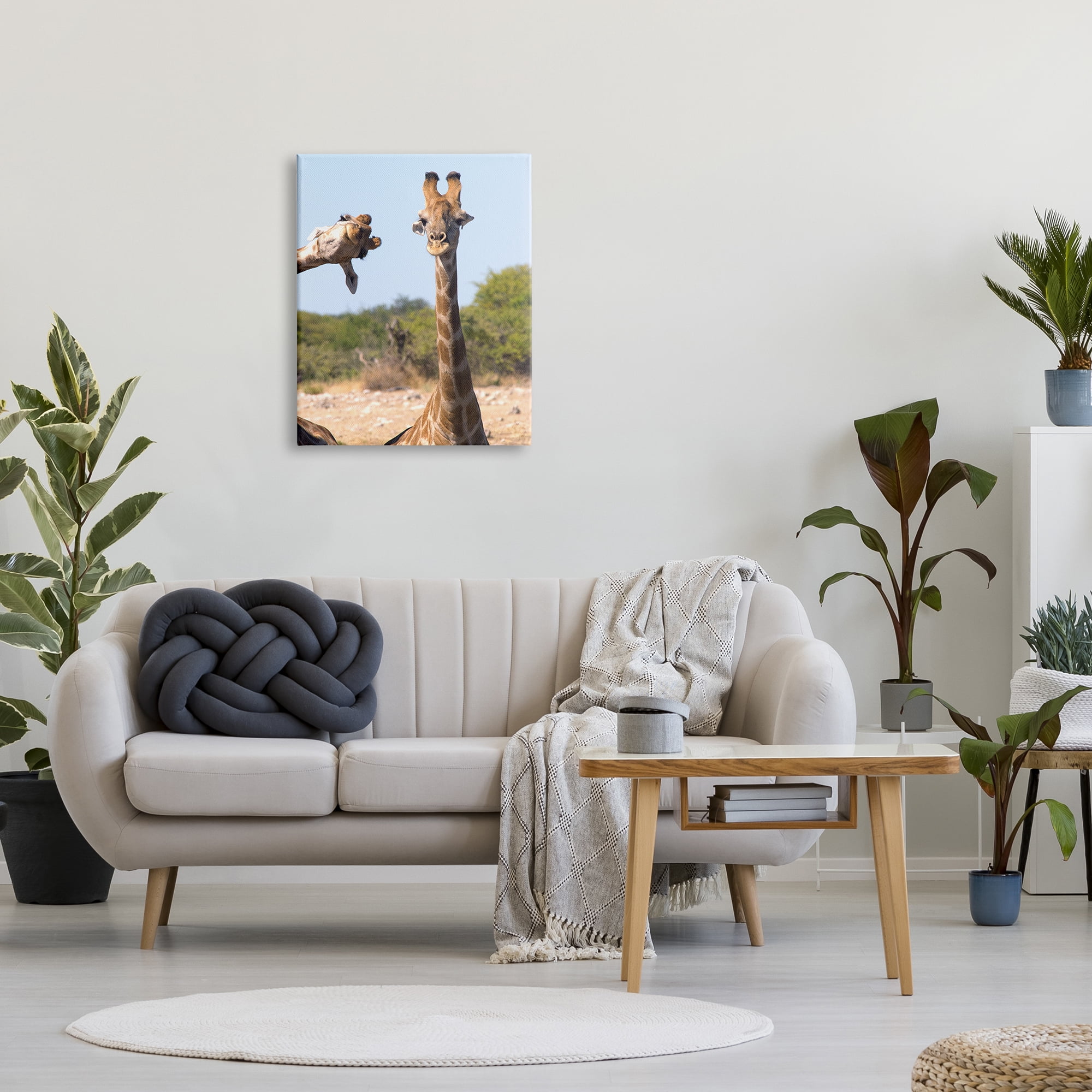 Stupell Industries Funny Photobomb Giraffes Animals & Insects Photography Gallery Wrapped Canvas Art Print Wall Art, 24 x 30