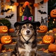 thumbnail image 2 of Qocolcyl Pet Mini Witch Hat for Cats Small Dogs, Glitter Bow Pom Pointed Witch Costume Hat, Adjustable Elastic Strap Halloween Decorations Pet Party Photo Prop Holiday Accessory Gift, 2 of 7