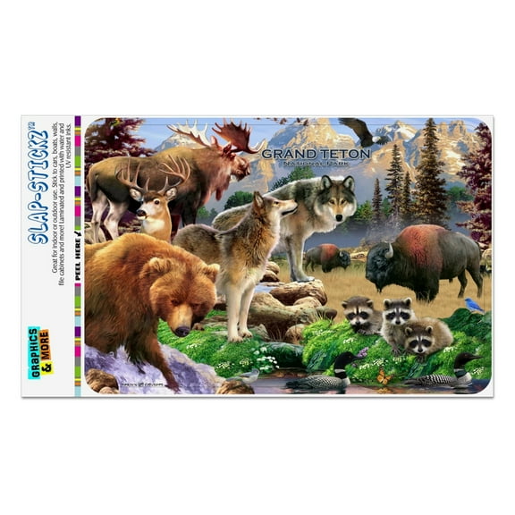 Grand Teton National Park Wyoming Animals Wolves Moose Bear Bison Home Business Office Sign