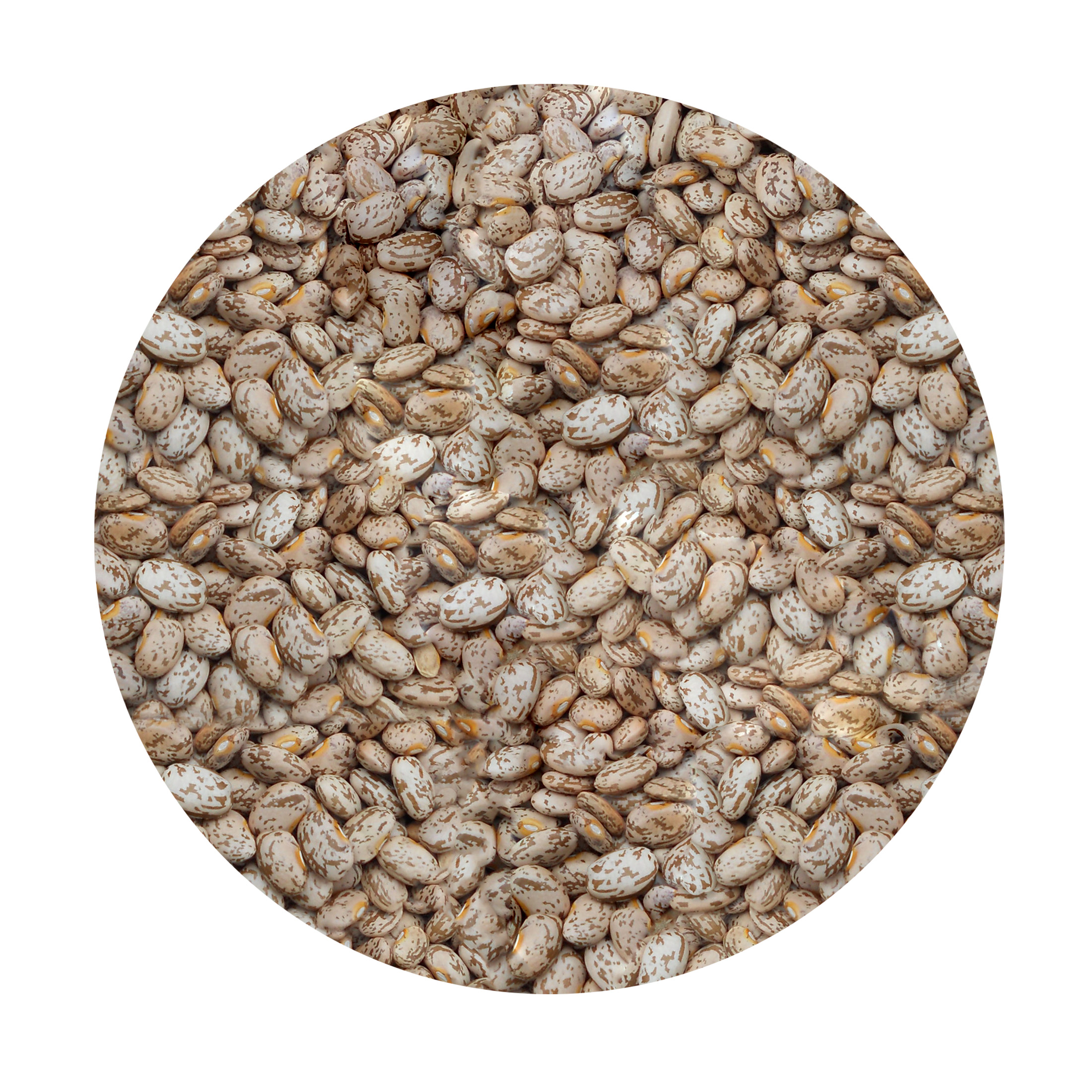Silers Selected Beans Dried Pinto Beans, 32 oz