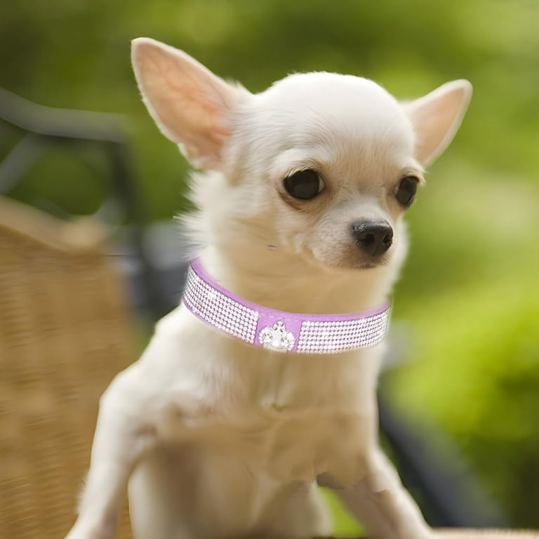 1Pcs Bling Dog Collar, Rhinestone Dog Collars Cute Diamond Jewel