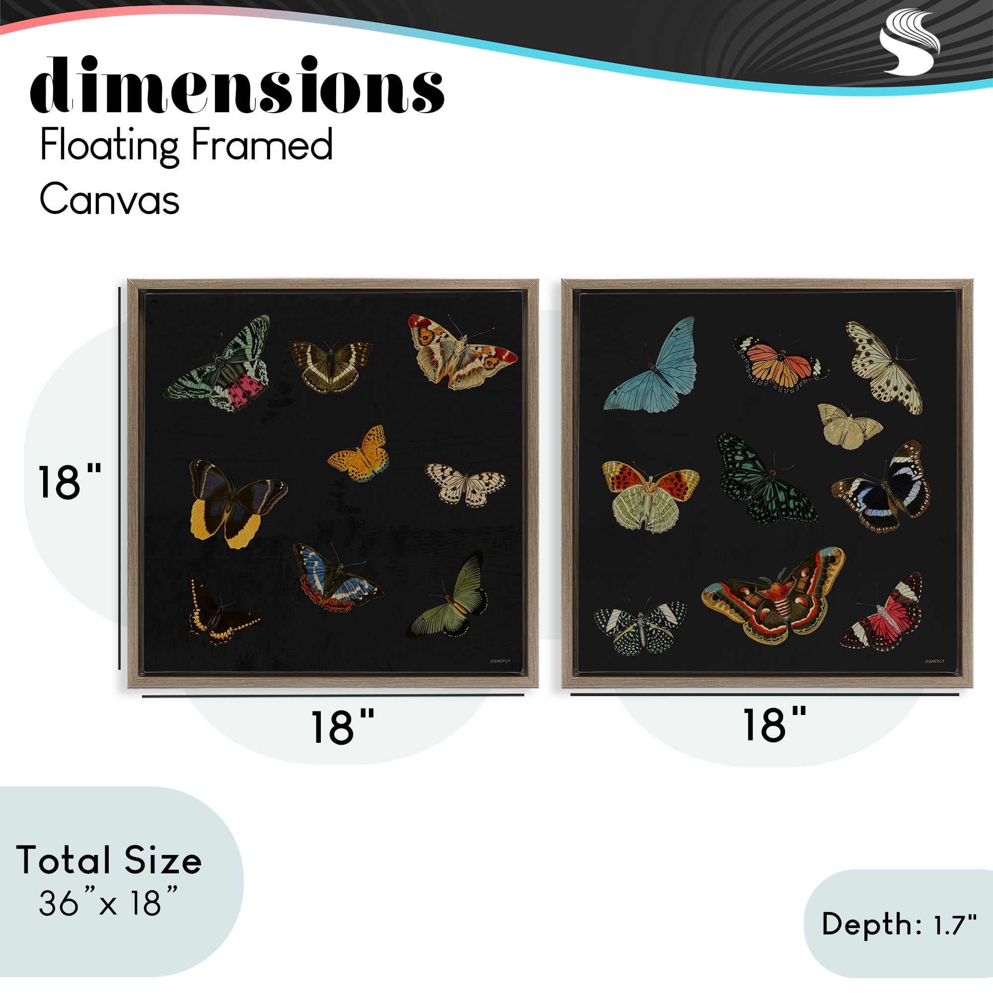Stupell Industries Entomology Collection on Black 2 Piece Brown Framed Floater Canvas Set, design by Dan Meneely