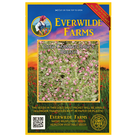 Everwilde Farms - 500 Deep Carmine Babys Breath Garden Flower Seeds - Gold Vault Jumbo Bulk Seed