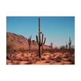 thumbnail image 1 of Ambesonne Saguaro Jigsaw Puzzle, Spines Hardy Plants, Heirloom-Quality Fun Activity for Family Durable Cardboard, 1000 pcs, Brown Blue, 1 of 2
