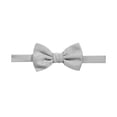 thumbnail image 1 of Ryan Seacrest - Pajarita preatada para hombre, color gris, talla única, 1 of 1