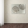 thumbnail image 4 of Trademark Fine Art 'Two King Scallop Shells' Canvas Art by Cora Niele, 4 of 4