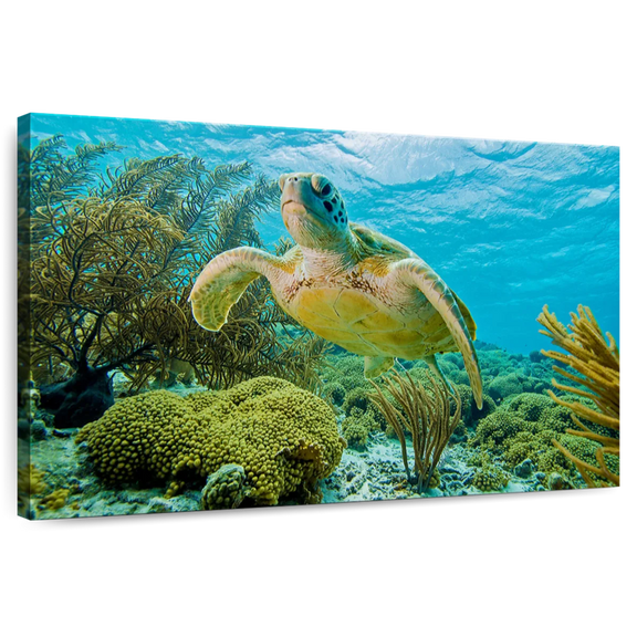 Elephant Stock Turtle In Bonaire Reef Wall Art - Horizontal Canvas Wall Art - Dining Room Wall Decor - Animal Canvas - Yellow And Green Decor - 12" x 8"
