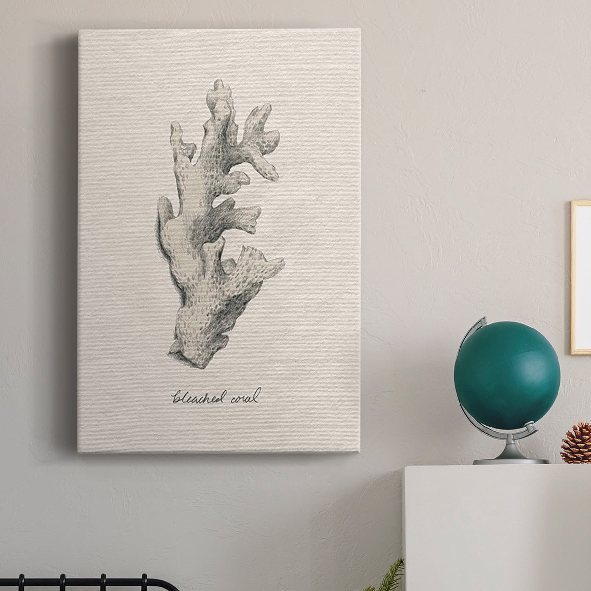 Shore Treasure Study II Premium Gallery Wrapped Canvas - Ready to Hang