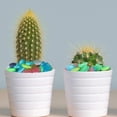 thumbnail image 4 of Solar Glow Pebbles 400pcs, Glow in the Dark Colorful Rocks for Garden Pathways and Flower Beds, 4 of 8