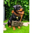 thumbnail image 7 of Guest Welcome Realistic Rottweiler Dog With Jingle Collar Sign Decor Statue 13"H, 7 of 7