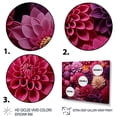 thumbnail image 3 of Designart "Chrysanthemum Collage Pink Gardens I" Floral Framed Wall Art Decor - Traditional Pink Chrysanthemums Hallway Framed Wall Art Decor, 3 of 6
