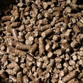 thumbnail image 6 of Bear Mountain Natural Hardwood Alder Flavor Pellets, 20 Pounds (2 Pack), 6 of 12
