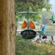 thumbnail image 1 of Feeders For Outdoor Feeding Wilds For Outdoor Feeding Watchers For Outdoor And Garden Decoration In The Yard, 1 of 7