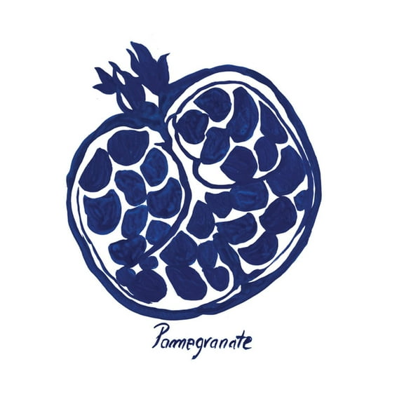 Art.com Indigo Pomegranate Art Print by Aimee Wilson, 16" x 16"