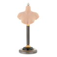 thumbnail image 4 of Baohd Buste Élégant et Pratique pour Homme et Femme, Support en PVC pour Perruques, Ensemble de 5, 4 of 6