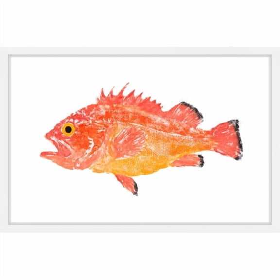 Marmont Hill "Orange Spiney Fish" by Michael Pantalos Framed Painting Print