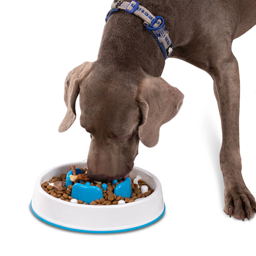 Tiger Design Dog Slow Feeding Bowl, Plastic Dog Puzzle Food And Water Bowl,  Anti-choking Slow Feeder Dog Dish Bowl For Indoor Dogs - Temu