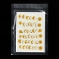 thumbnail image 4 of 48 Piezas de Flor de Margarita Seca Natural, Flor Prensada para Manualidades, Blanca, 4 of 6