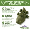 thumbnail image 3 of Wellness WHIMZEES Alligator Dog Dental Treats, Large Size, (6 Count), 3 of 9