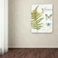 thumbnail image 3 of Trademark Fine Art "My Greenhouse Botanical III" Canvas Art by Lisa Audit, 3 of 3
