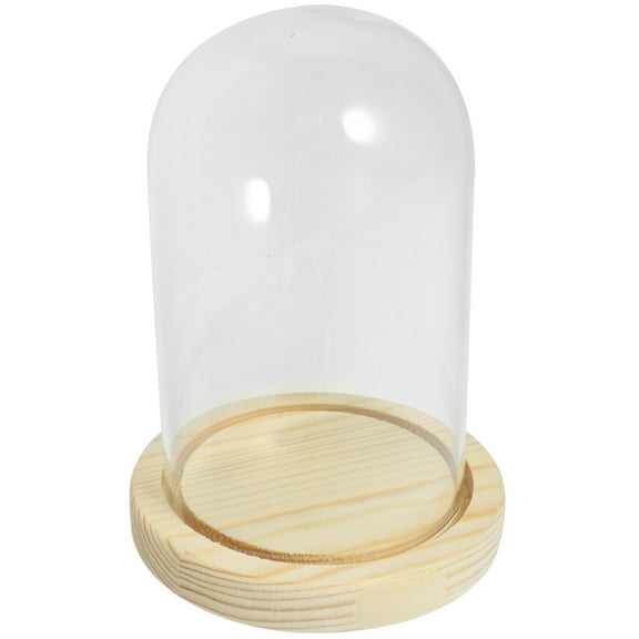 Dried Flower Display Base With Glass Dome Preserved Flower Display Holder Transparent Showcase Stand