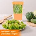 thumbnail image 5 of 1 Pcs Orange Divider Herb Keeper,Clear Fresh Vegetables Saver,Plastic Cilantro Storage Container,Multipurpose Cilantro Saver,Asparagus Organizer,for Kitchen Refrigerator By GIXUSIL, 5 of 7