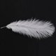 thumbnail image 3 of 80 Piezas Avestruz Natural Pluma 20-25cm Boda DIY, 3 of 5