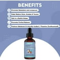 Is L Theanine Safe For Dogs WONDER PAWS Melatonin for Dogs – Pet Melatonin with L-Theanine