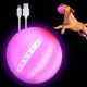 thumbnail image 1 of LaRoo LED Dog Balls Rechargeable,Light up Dog Ball Glow in The Dark,Teeth-Cleaning Natural Rubber,Interactive Dog Toys for Small & Medium Dogs,2.5 inches(Purple), 1 of 5