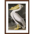 thumbnail image 2 of Art.com American White Pelican Giclee Print by John James Audubon, Brown Frame Wall Art, 17" x 23", 2 of 5