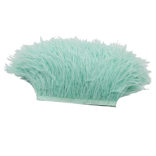 Wosthever Adorno de cinta con ribete de flecos de plumas de avestruz teñidas en yarda vibrante Kits de decoración para fiestas Menta verde