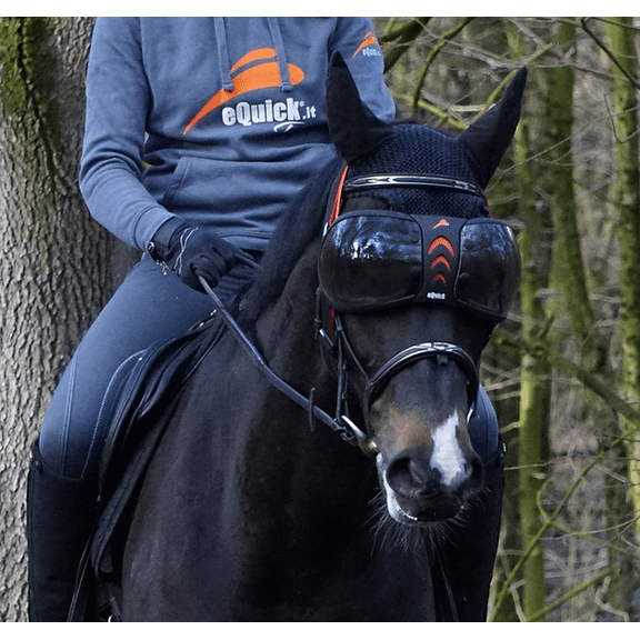 eQuick eVysor darker