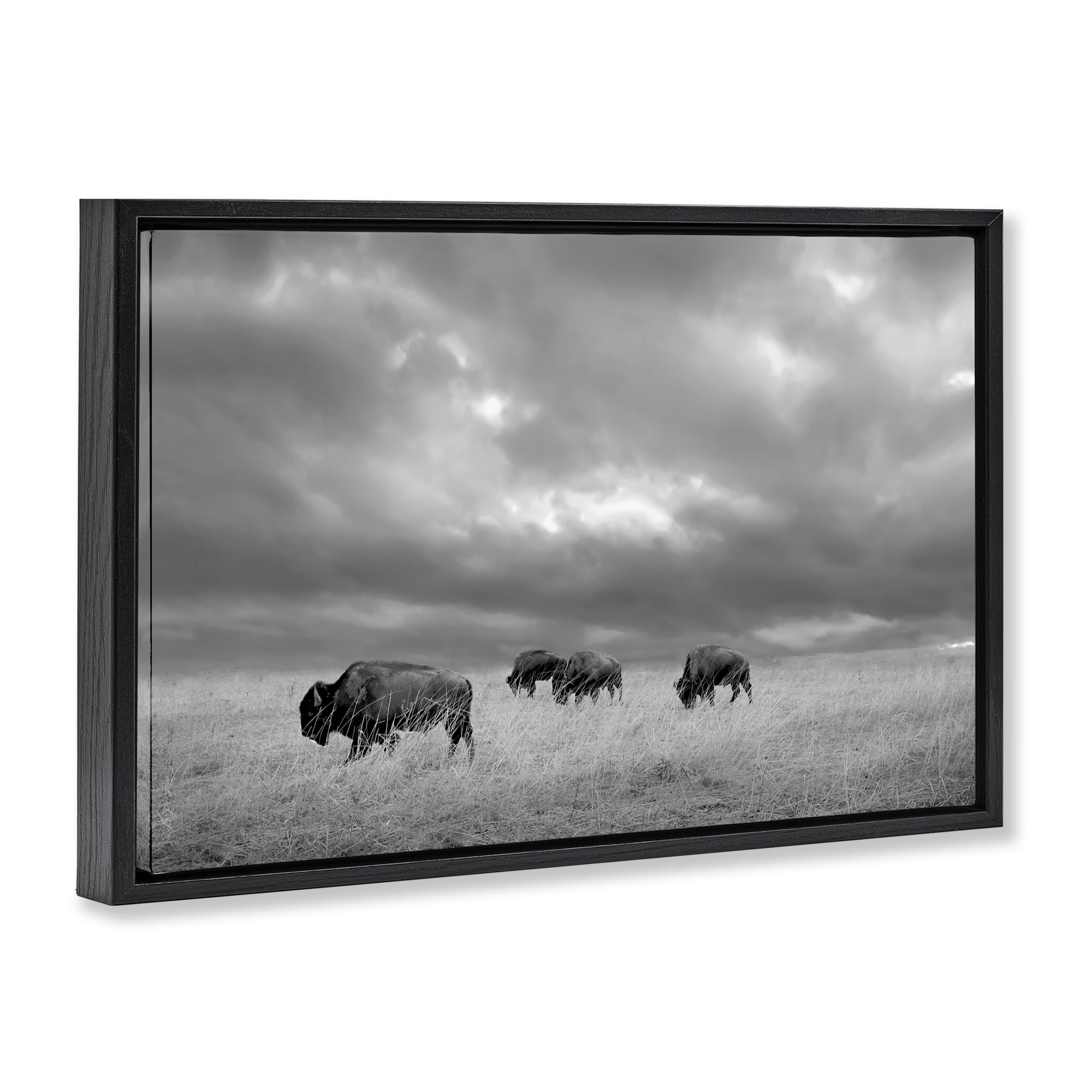 Stupell Industries Bisons Under an Autumn Sky Black Framed Floater Canvas Wall Art, design by Steve Toole