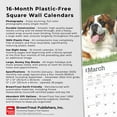 thumbnail image 6 of Saint Bernards | 2025 12x24" (Hanging) Square Wall Calendar | BrownTrout, 6 of 9