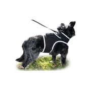 Mini Pet Tracking Device Collar Mount + Mobility Detector to Extend Battery Life Size:L